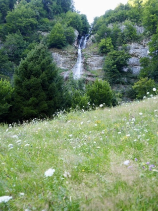 Detox im Landvogthaus