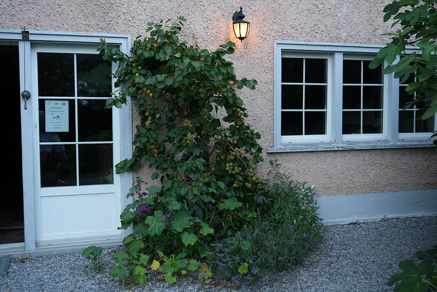 Ein Geheimtipphotel in der Schweiz verzaubert seine Gäste